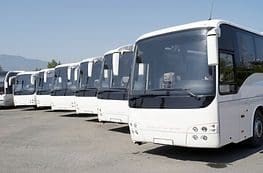 A row of white buses parked in a parking lot.