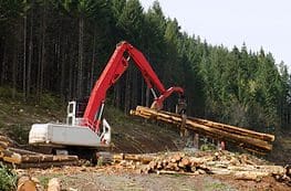 A red crane is on top of a pile of wood.