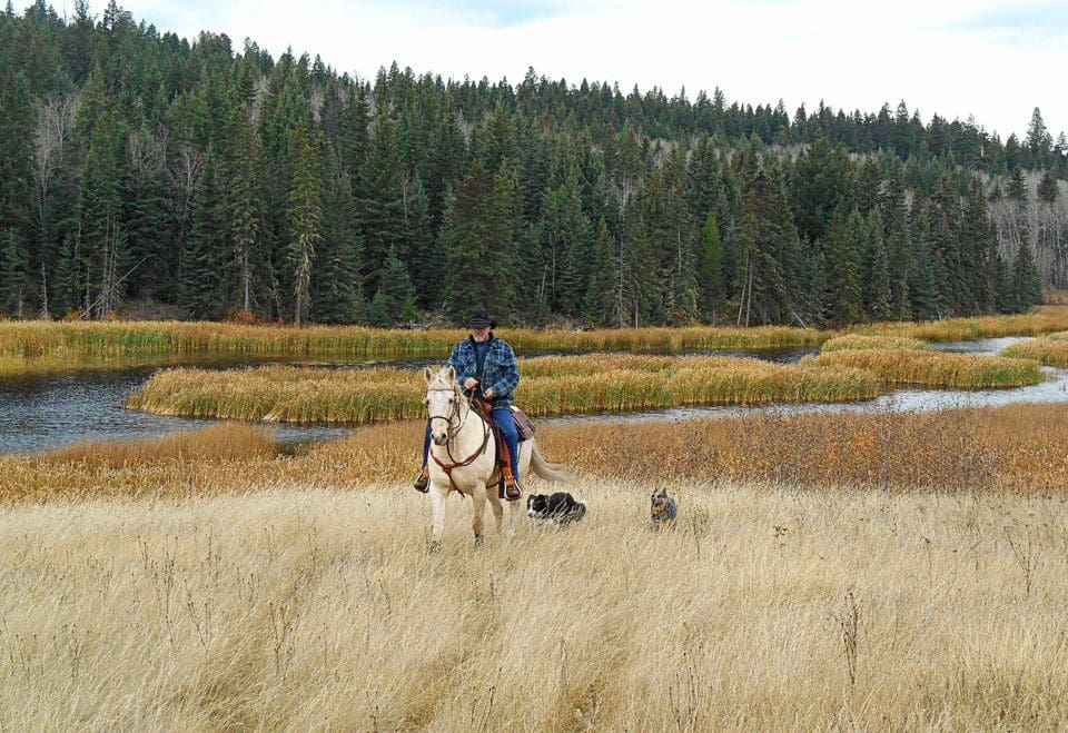 A man riding on the back of a horse in a field.