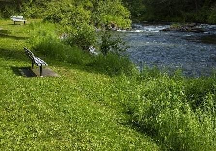 A person sitting on the grass near some water